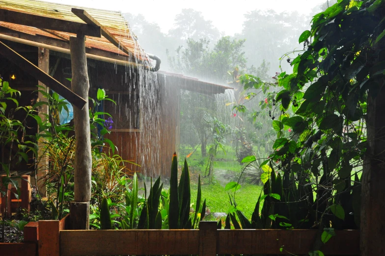 a large sprinkle water pours into the air