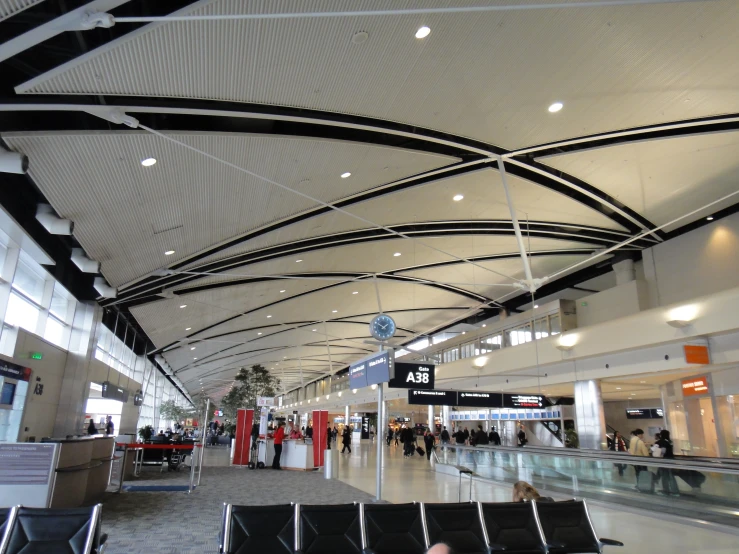 people traveling down an airport and enjoying their time