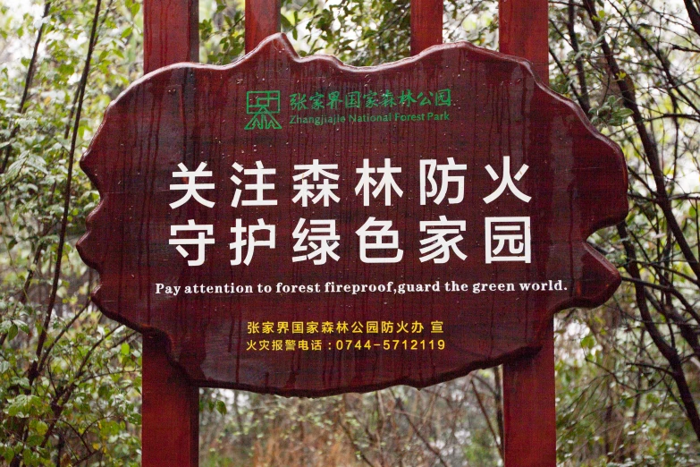 a sign points in chinese on a trail through a wooded area