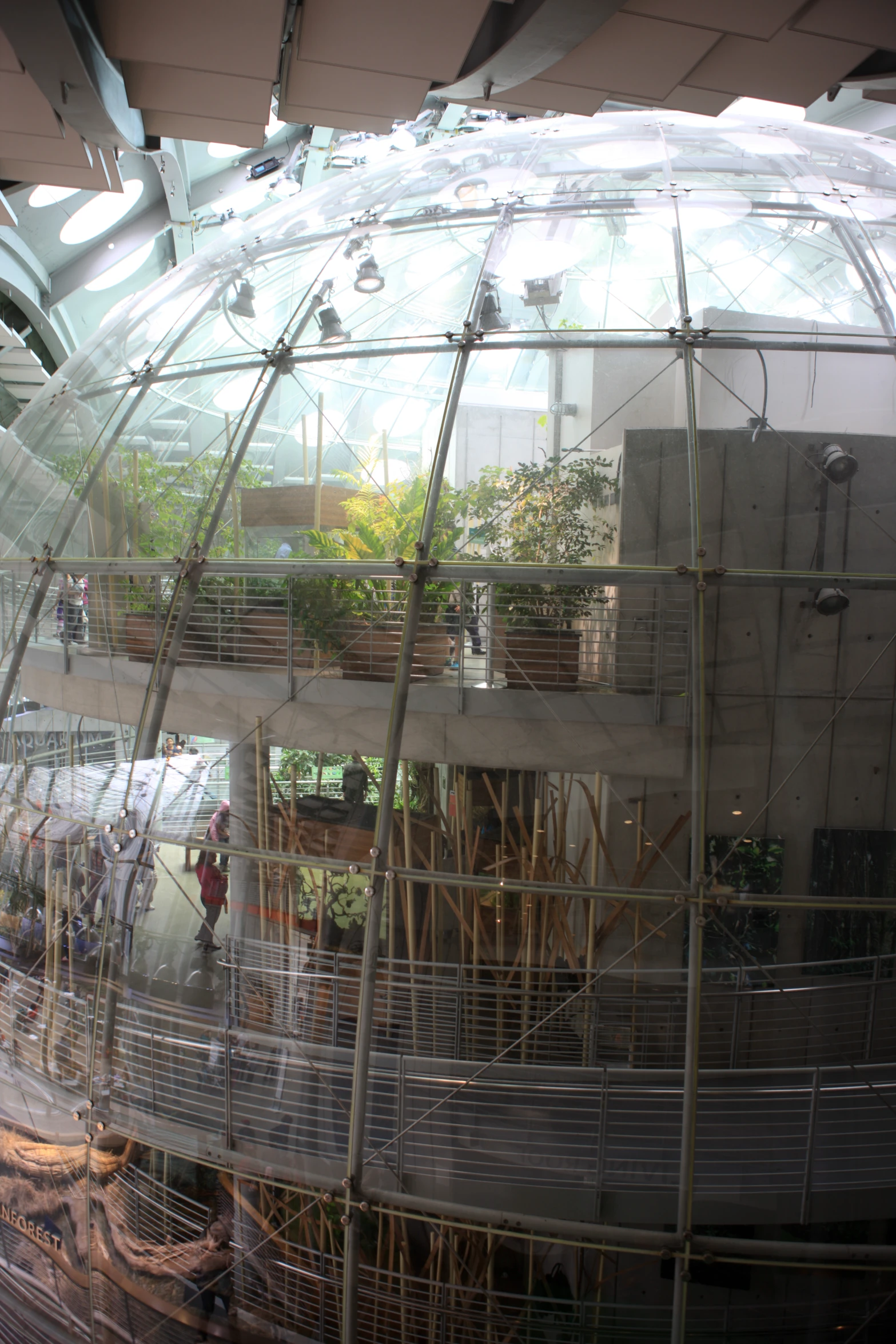 inside of greenhouse in an industrial plant shop