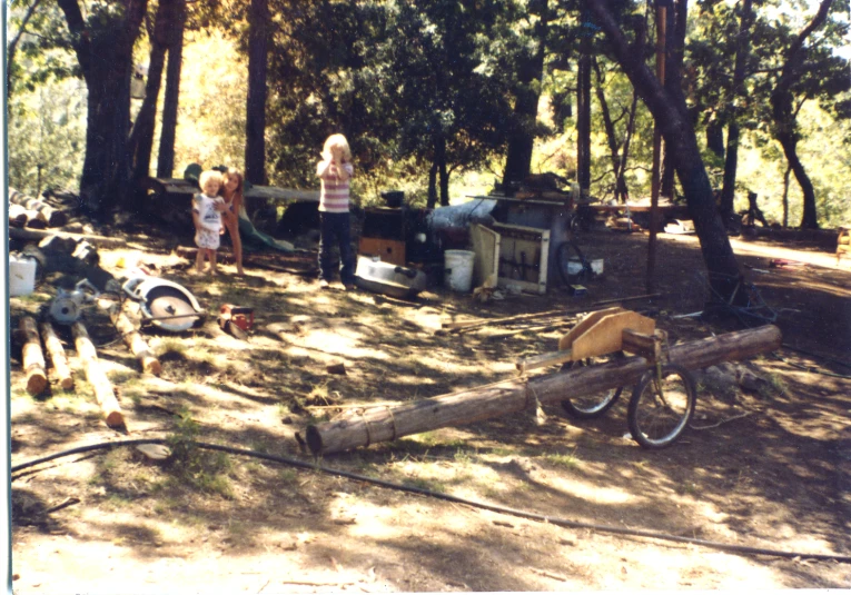 a couple of s standing in the woods with dogs