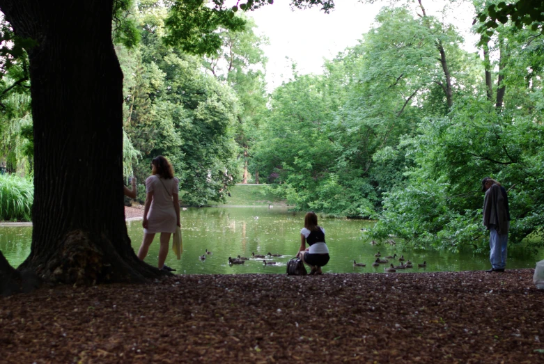 a family sits and admires ducks at the river's edge