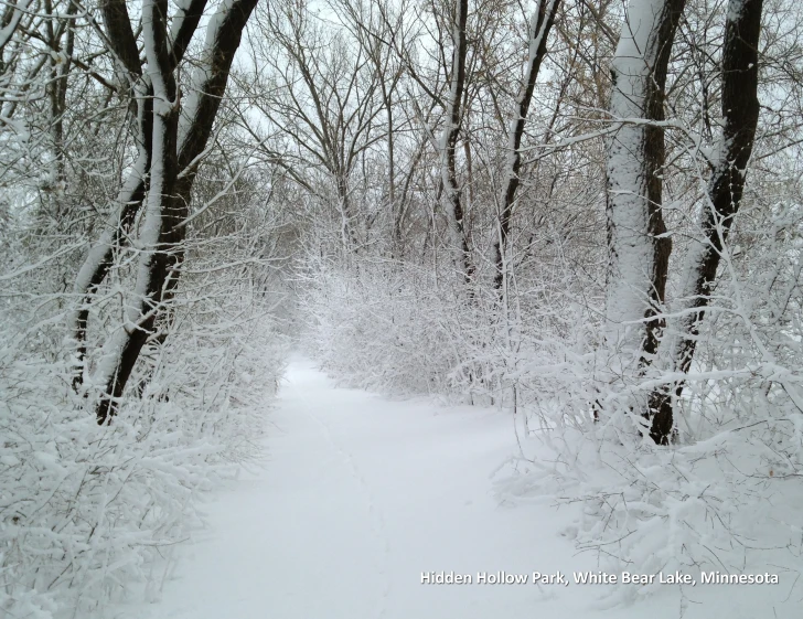 a trail in the woods is covered in snow