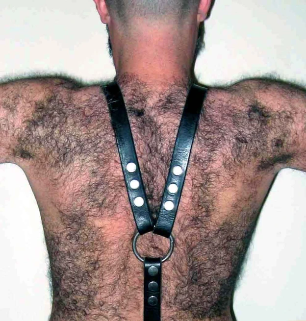 the back of a mans hairy hairy torso and his leather harness