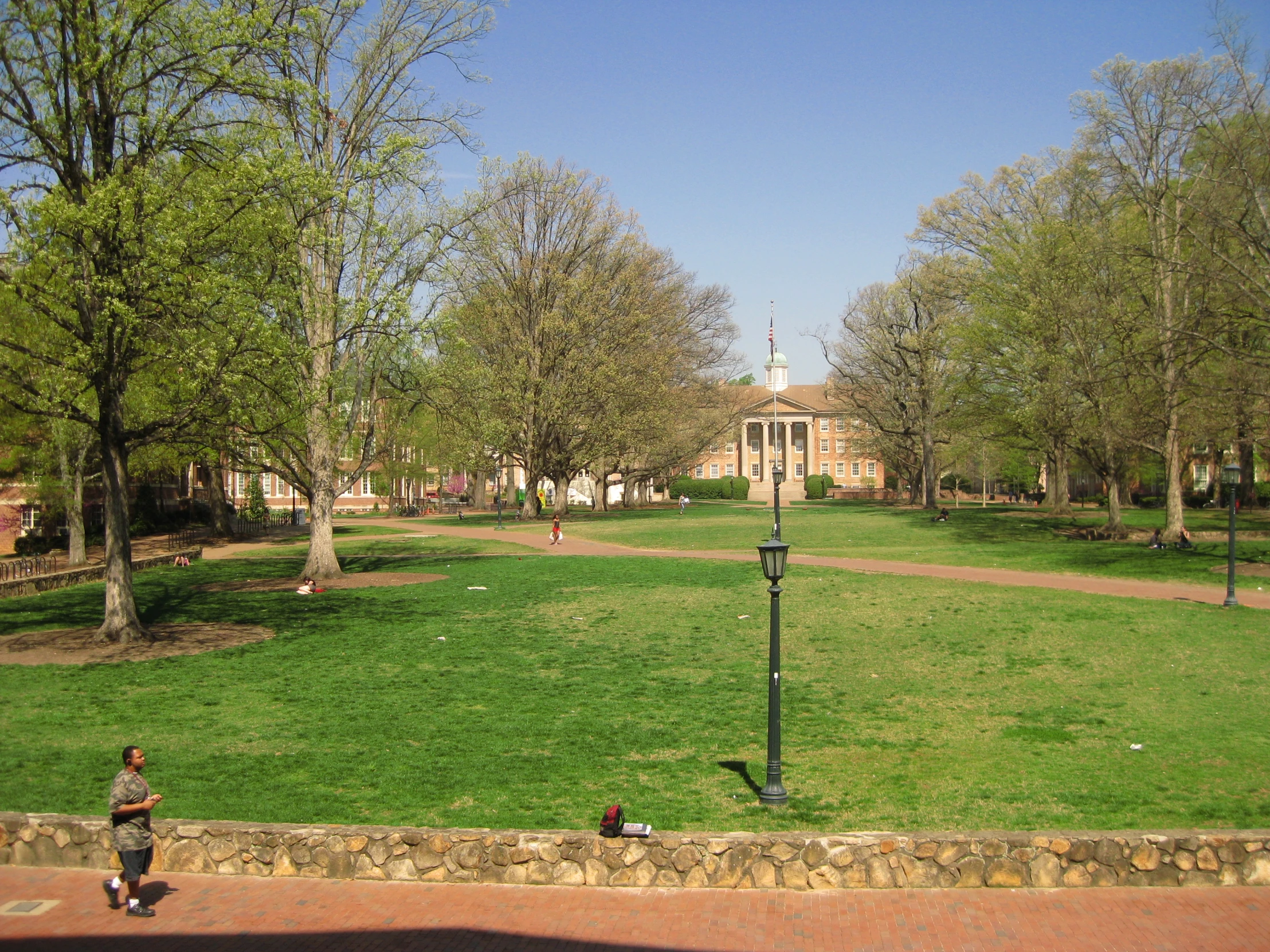 the city park features large trees and grass