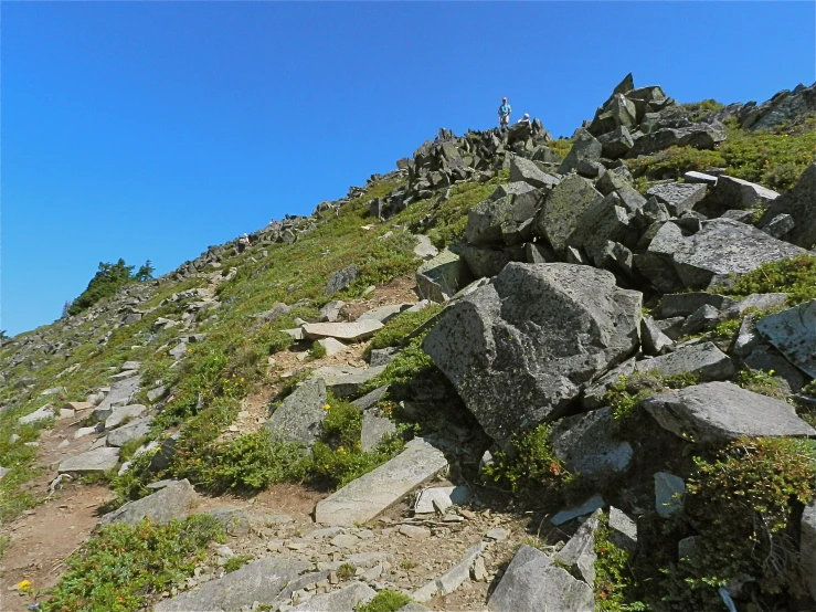 some rocks rocks and plants on the side of a hill