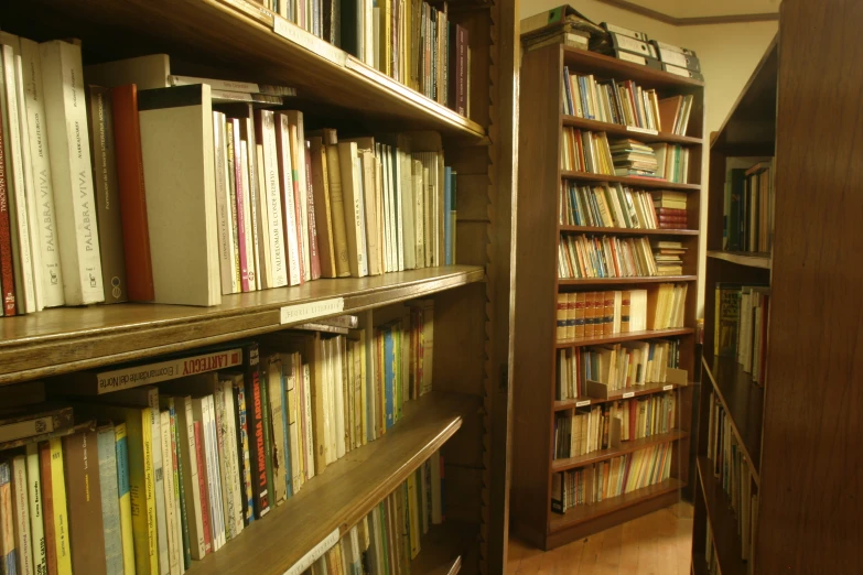 the shelves in the liry are full of books