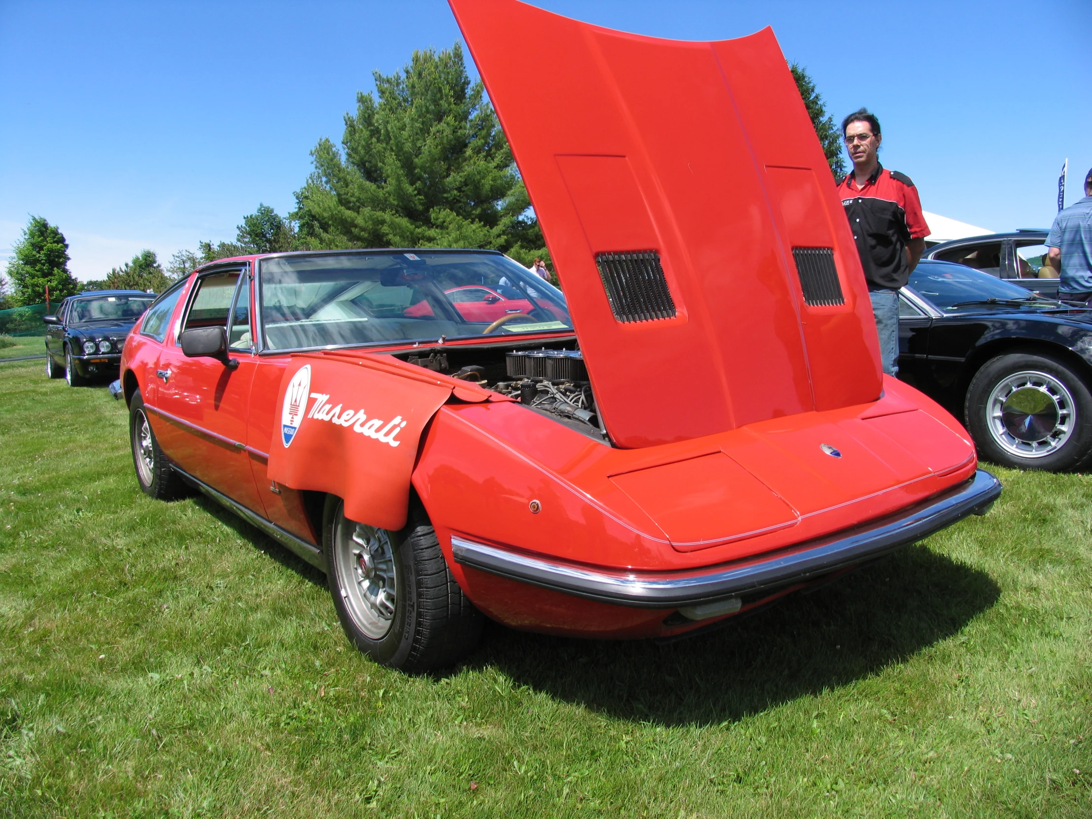 people watching cars displayed on grass in a field