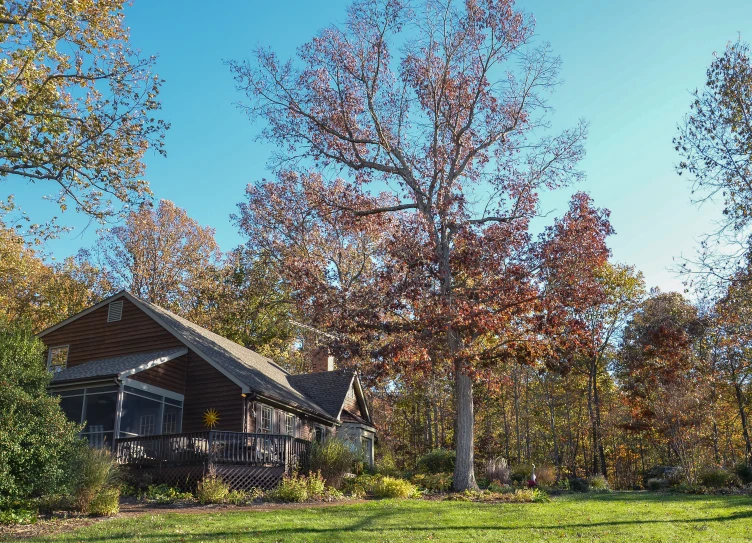 a cabin sits in the woods surrounded by trees