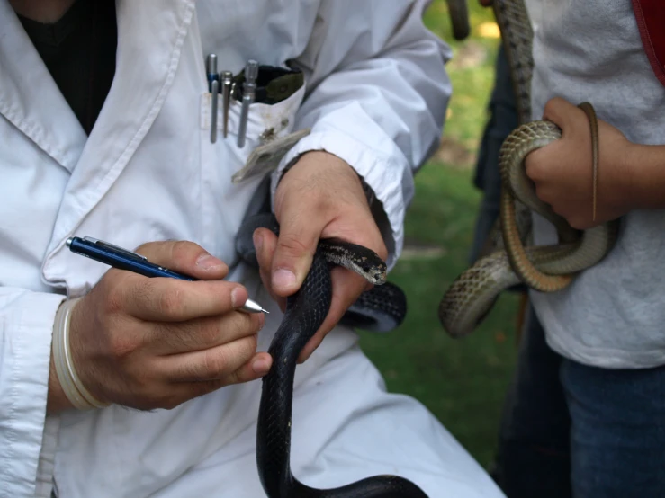 someone holding a snake in their hands and writing soing in it