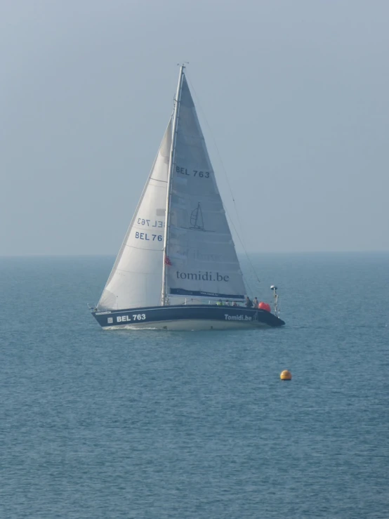 an ocean with a sailboat and buoy