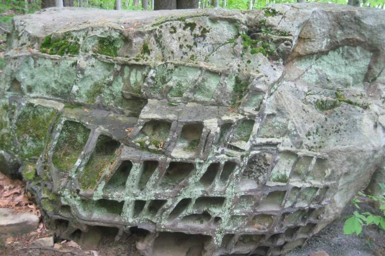 an old rock with lots of moss growing on it