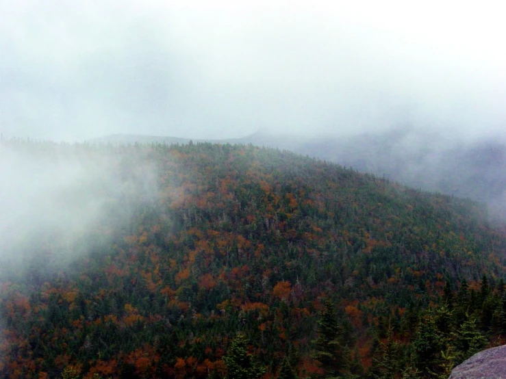 a landscape with trees and fog