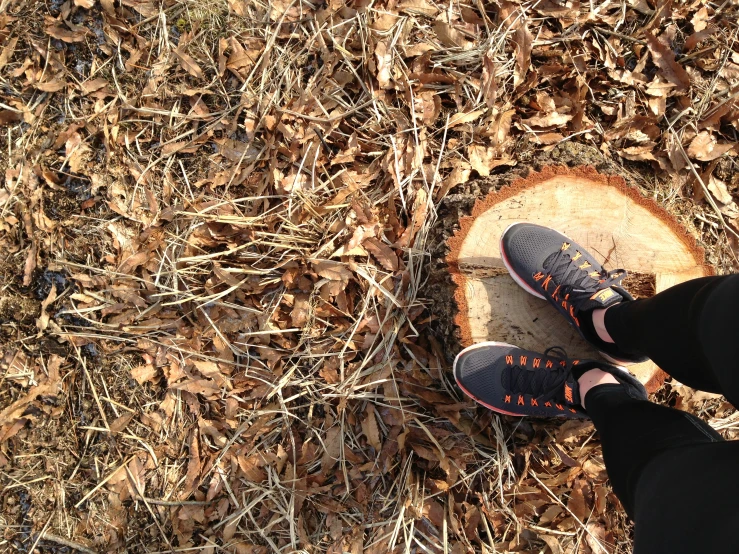 a persons feet standing in the grass and leaf