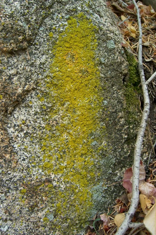 a stone that has yellow and white paint on it