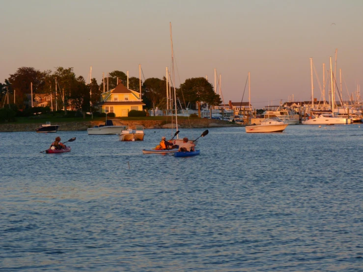 many boats are sailing in the water near some houses