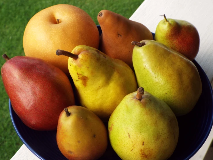 a blue plate with pears and pears on a table