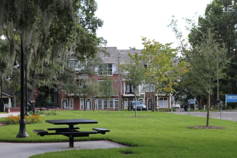 a park that has trees, benches, and buildings in the background