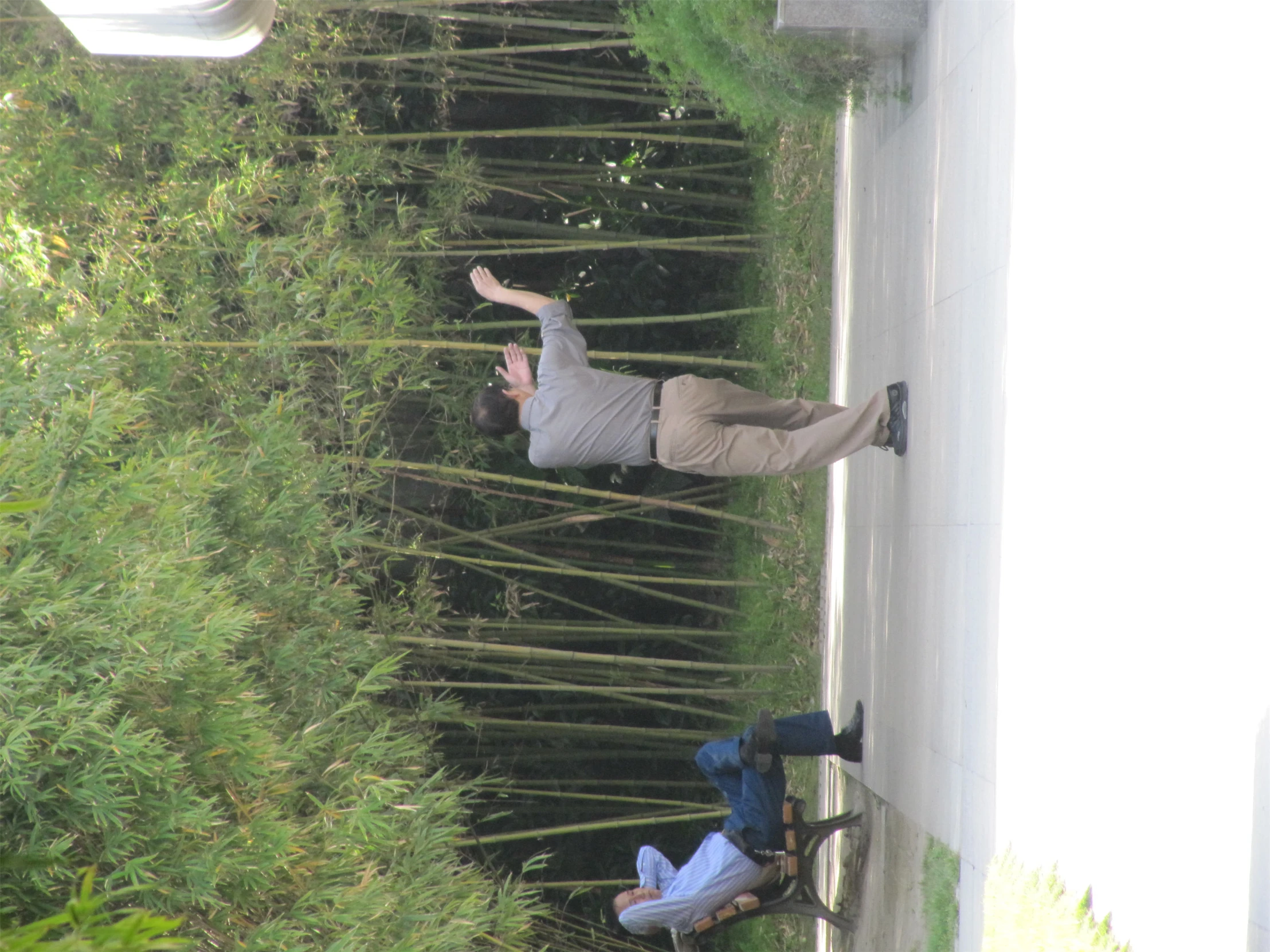 two people who are walking across some trees