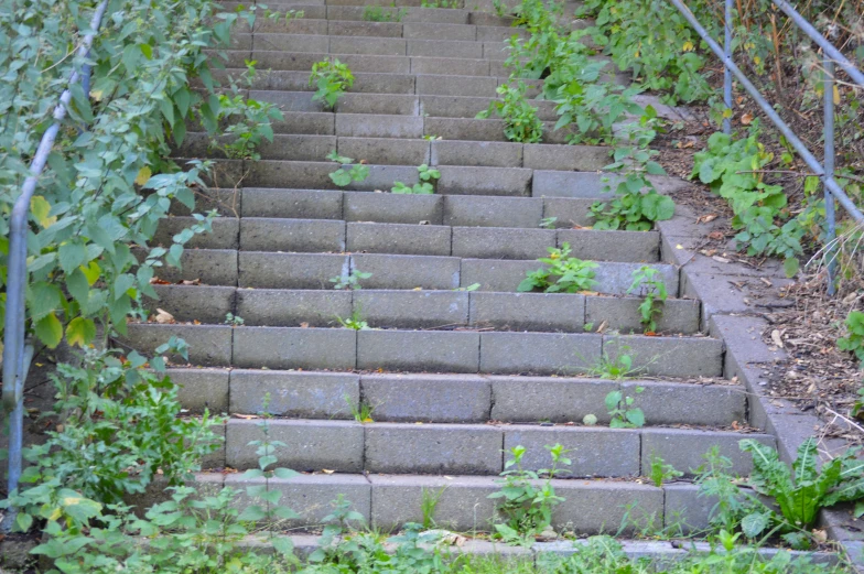 several cement stairs lead up and down from an outdoor area