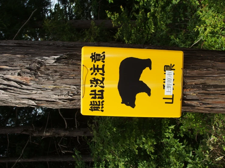 a bear crossing sign near a tree with trees in the background