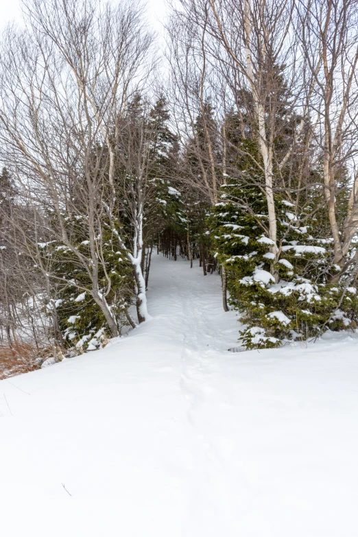 an image of a snow covered road going down hill