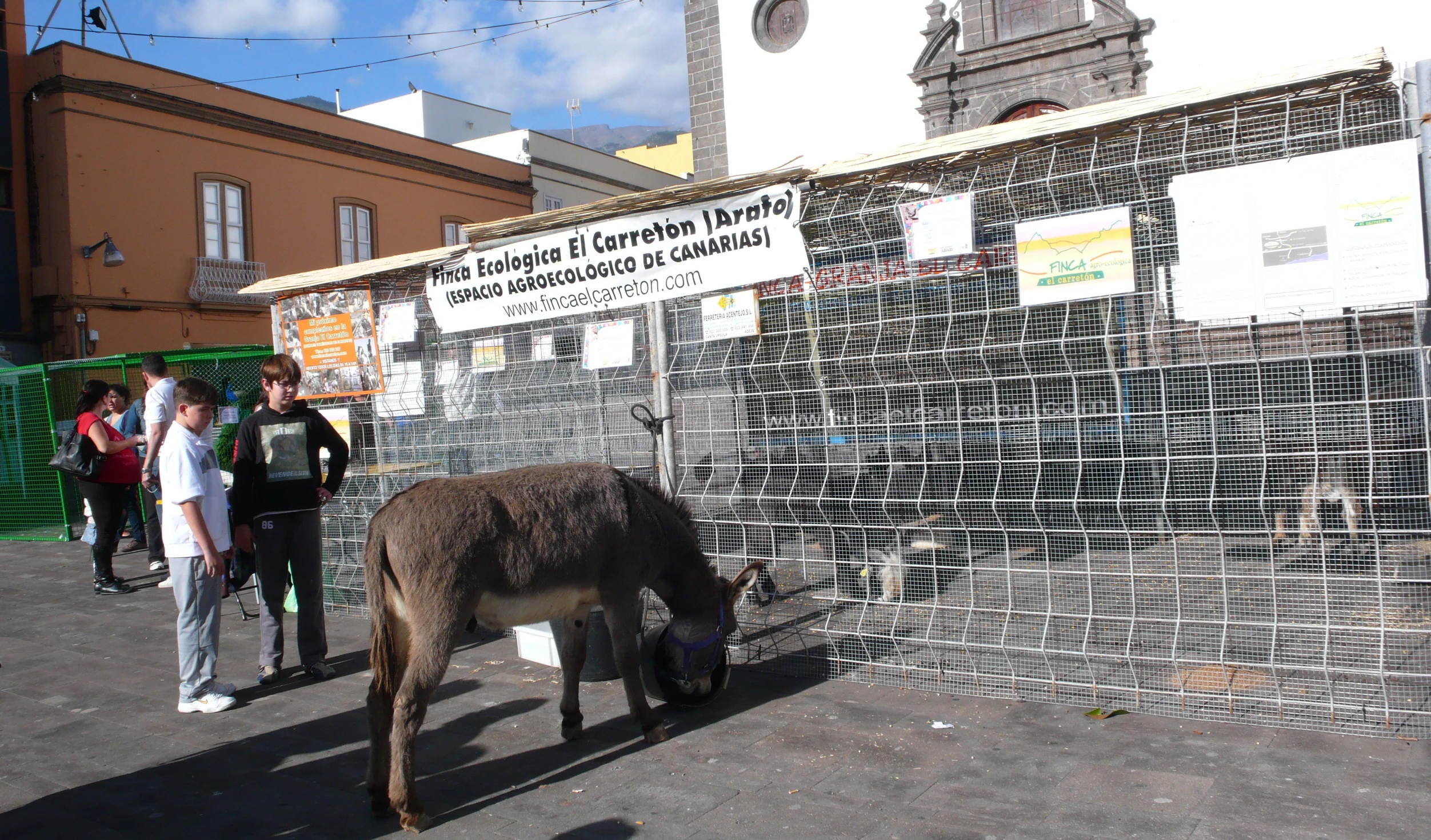 a donkey stands outside of a building as people walk past by