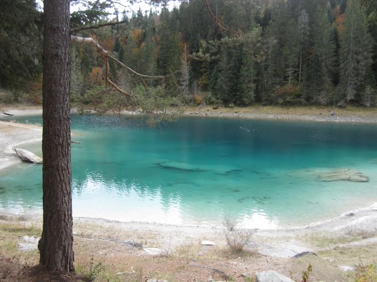 a blue lake surrounded by trees in a forest