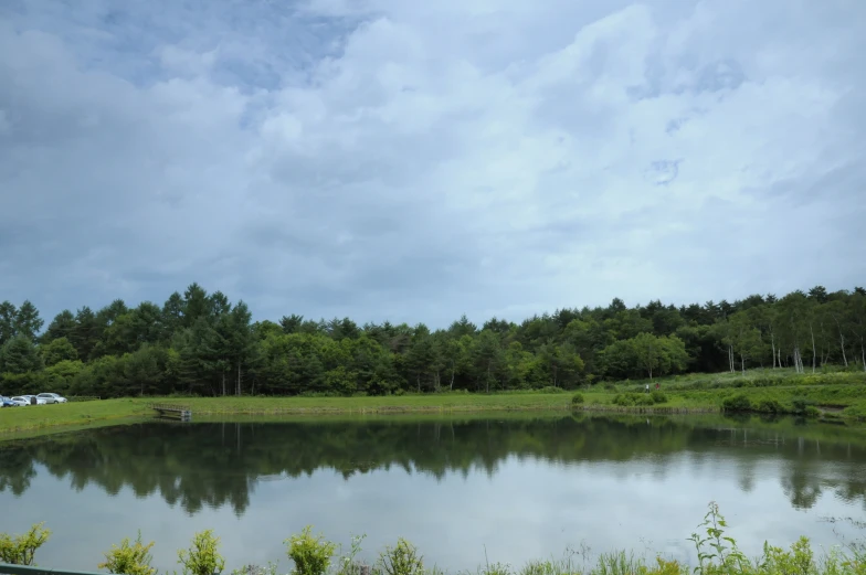 large open pond with a view of many trees and a campsite in the distance