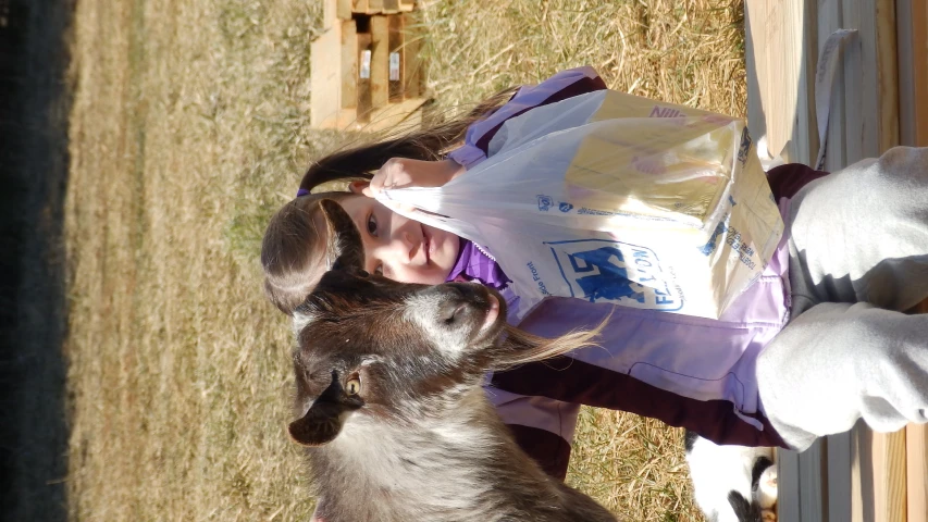 a small girl holding a bag near a donkey