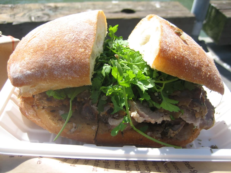 meat sandwich with greens on it sitting in a tray