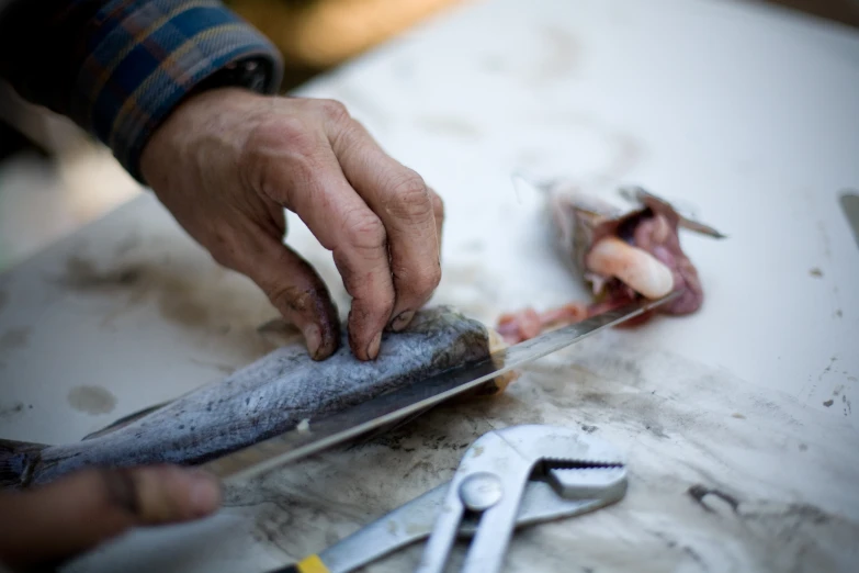 a man holding onto some fish on a  board