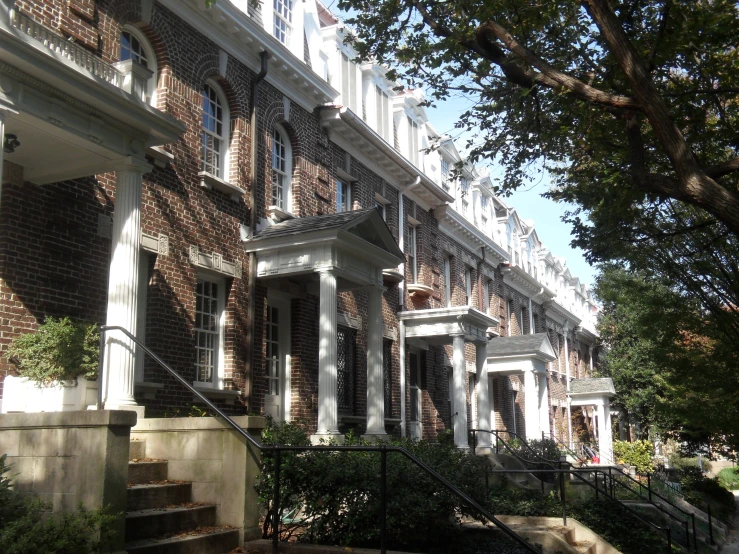 row houses with trees lined the sides of them