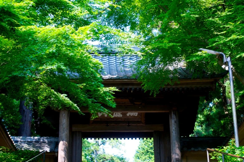 a picture of the entrance to a temple