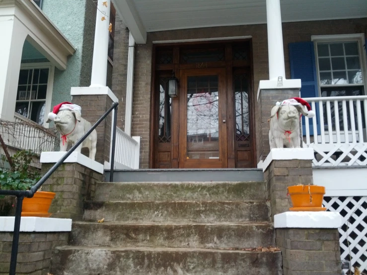 two large dogs standing on steps outside a house