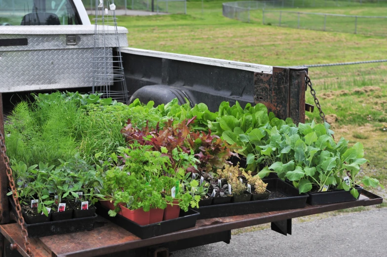 the truck is parked on the side of the road and filled with vegetables