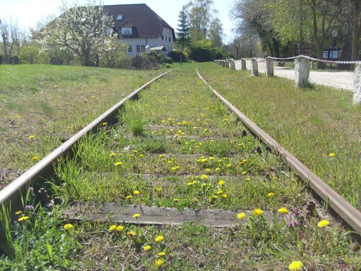 a train track that has flowers growing from it