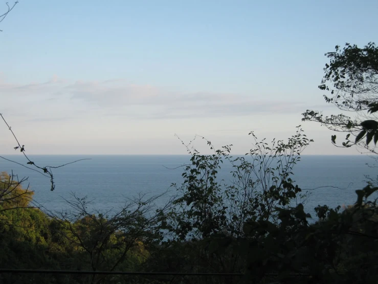 looking over water and trees to the ocean