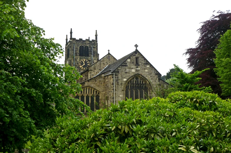 a church is surrounded by a variety of trees