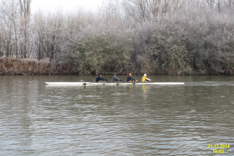 four people in a row boat out on the river