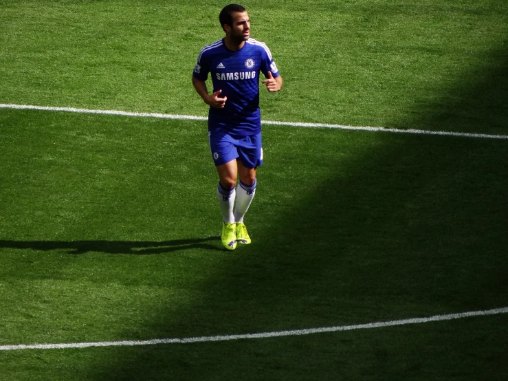 a man on the soccer field with a ball