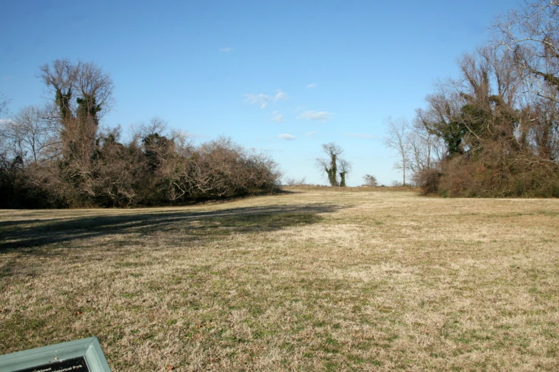 an empty field with trees and brush in the background