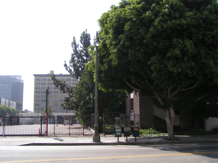 a tree and a fence in a city