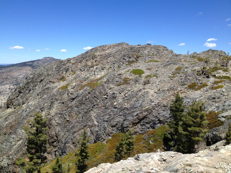 a large hill with lots of rocks and trees