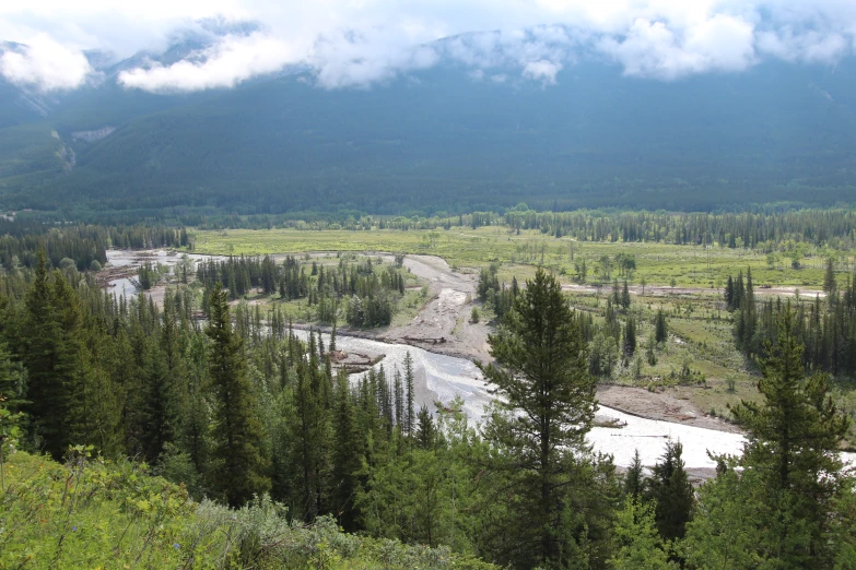 an image of river coming out of the woods