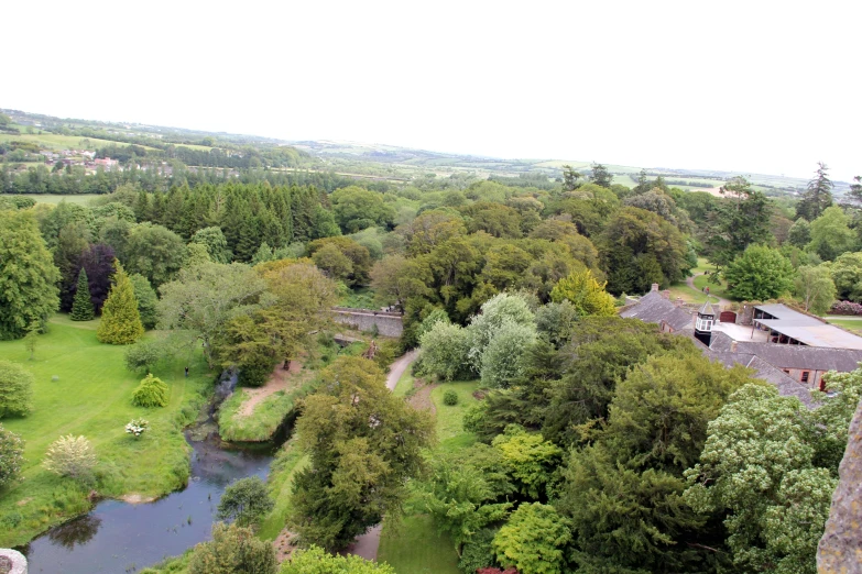 aerial s of a river in a forest