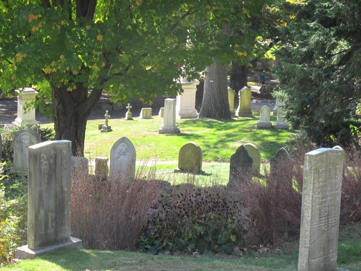 some grave stones in a grassy yard with a tree