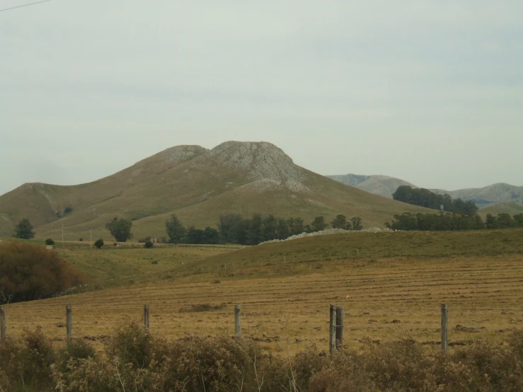 a large field with some very tall mountains