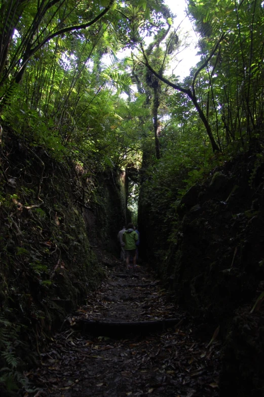 a man walking down a trail in the woods