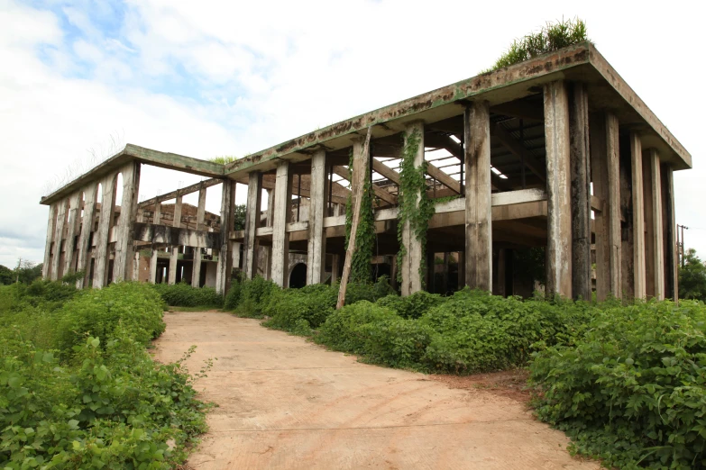 an abandoned building with trees growing around it